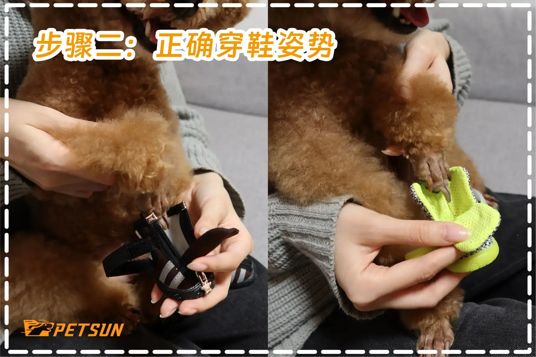 How to Put on Dog Shoes